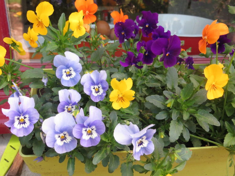 Cuisine minimaliste chaleureuse : comment epurer sans rendre la piece froide - photo reelle de cuisine